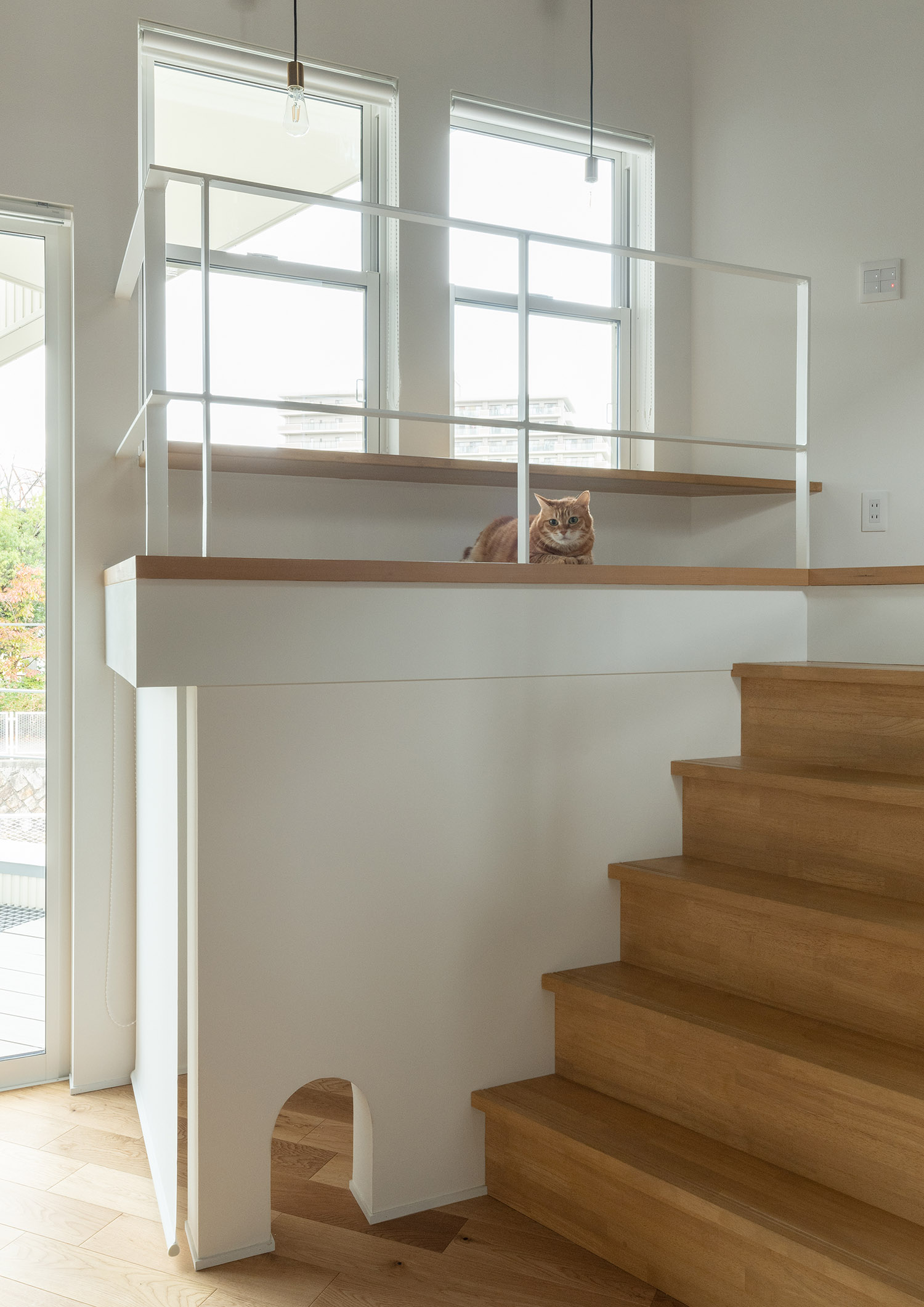 デザイン住宅建築実例_外観・注文住宅『CASE782 ねこと暮らす家』の建築実例・施⼯例の写真・建物_LDK