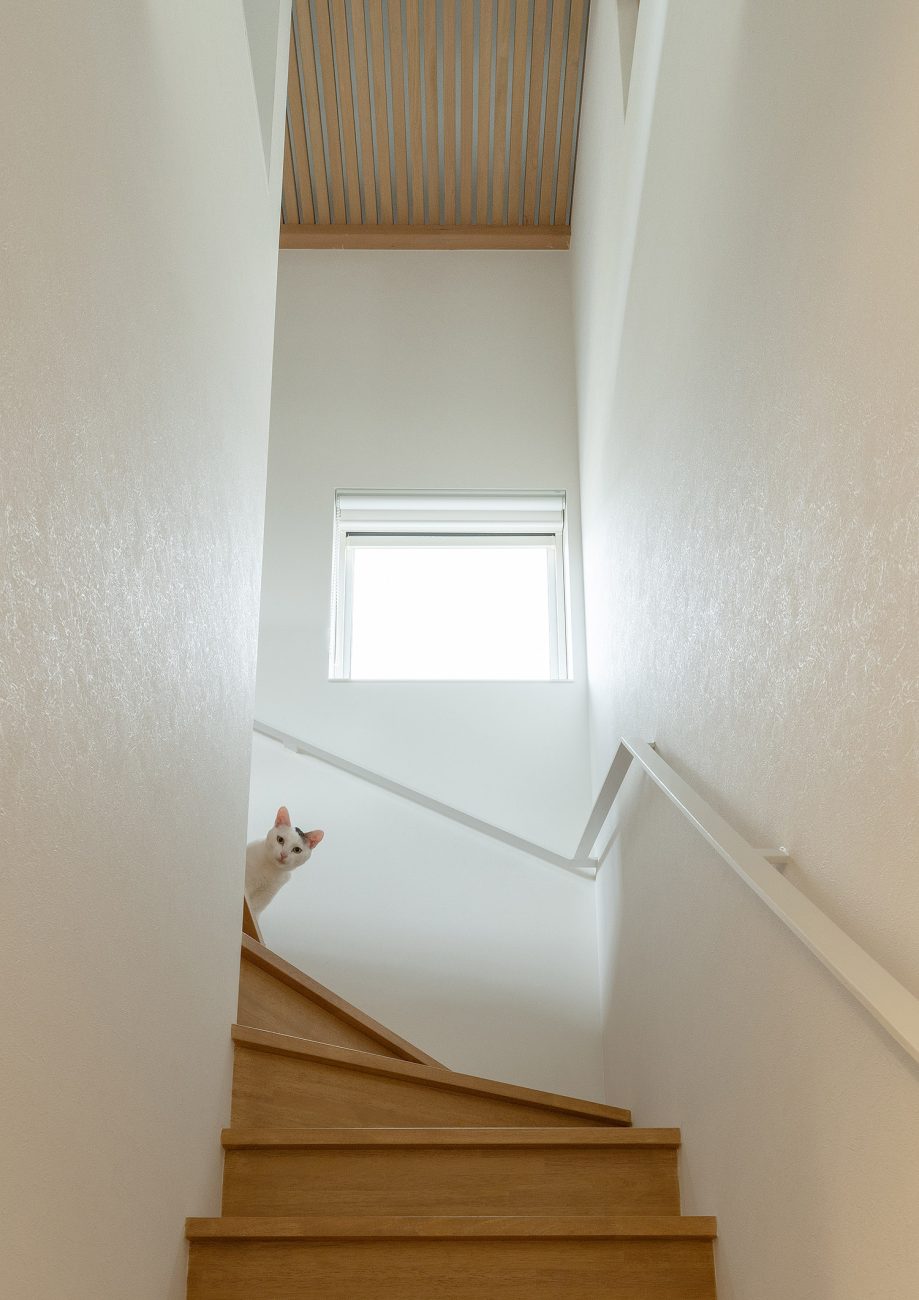 デザイン住宅建築実例_外観・注文住宅『CASE782 ねこと暮らす家』の建築実例・施⼯例の写真・建物_階段