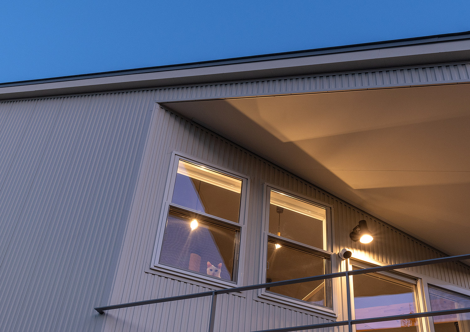 デザイン住宅建築実例_外観・注文住宅『CASE782 ねこと暮らす家』の建築実例・施⼯例の写真・建物外観