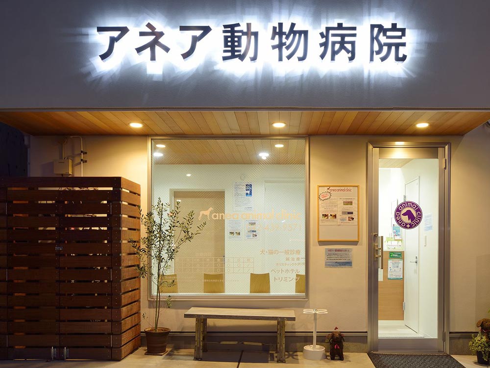 CASE280 注文住宅「ペットと共に暮らす家」の建築実例