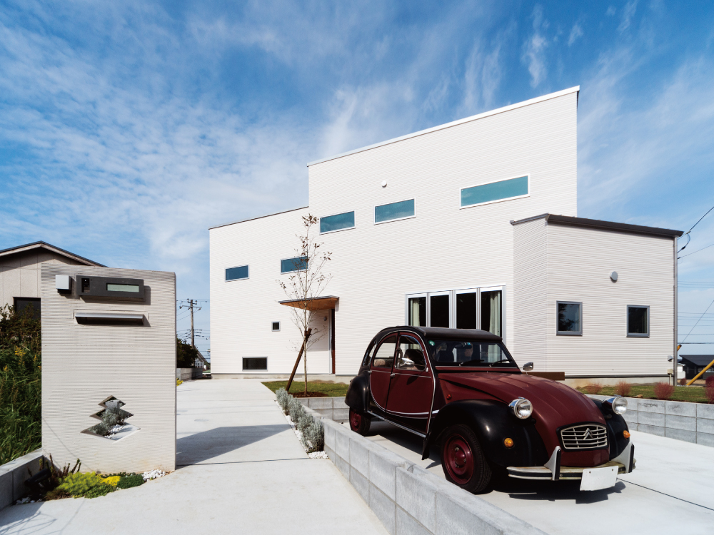 CASE491 dramatic expectation