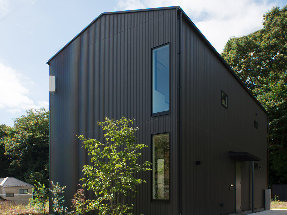 CASE696 tongari house