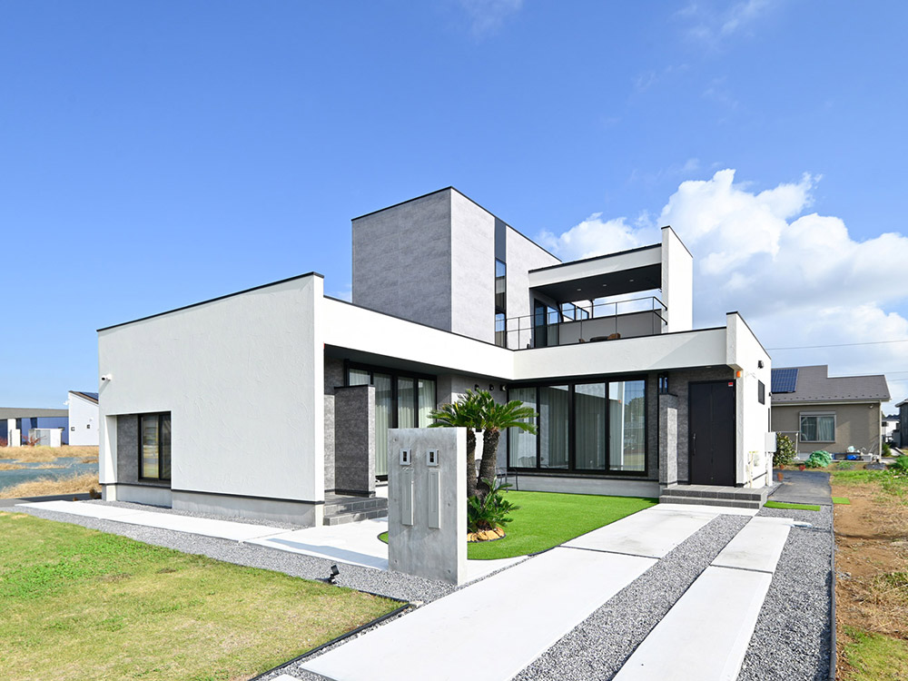 CASE738 Grass field House