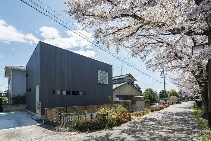 桜並木の景色に調和する黒いキューブ状の外観