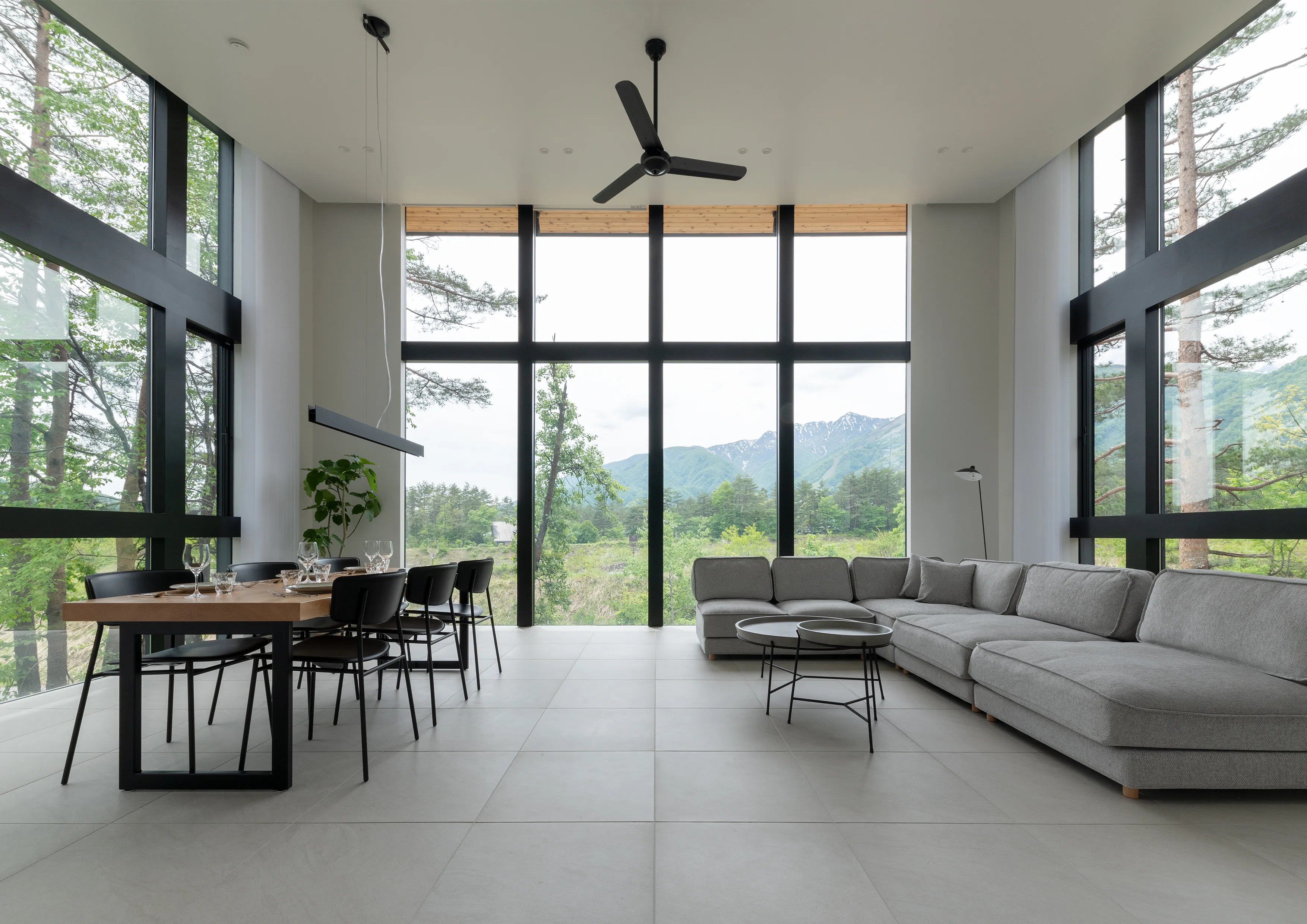 FREEDOM ARCHITECTS